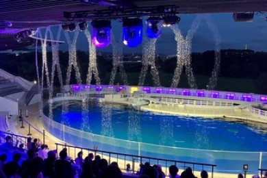 カスタム旅行イメージ