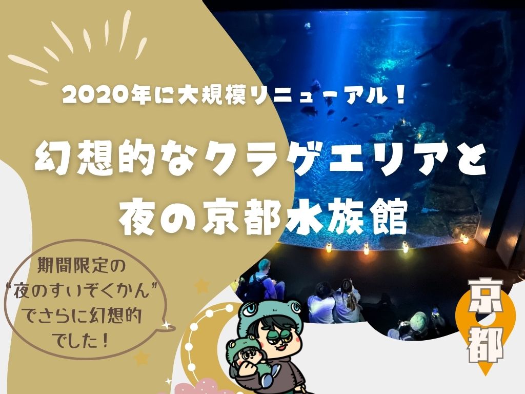2020年に大規模リニューアル！幻想的なクラゲエリアと夜の京都水族館