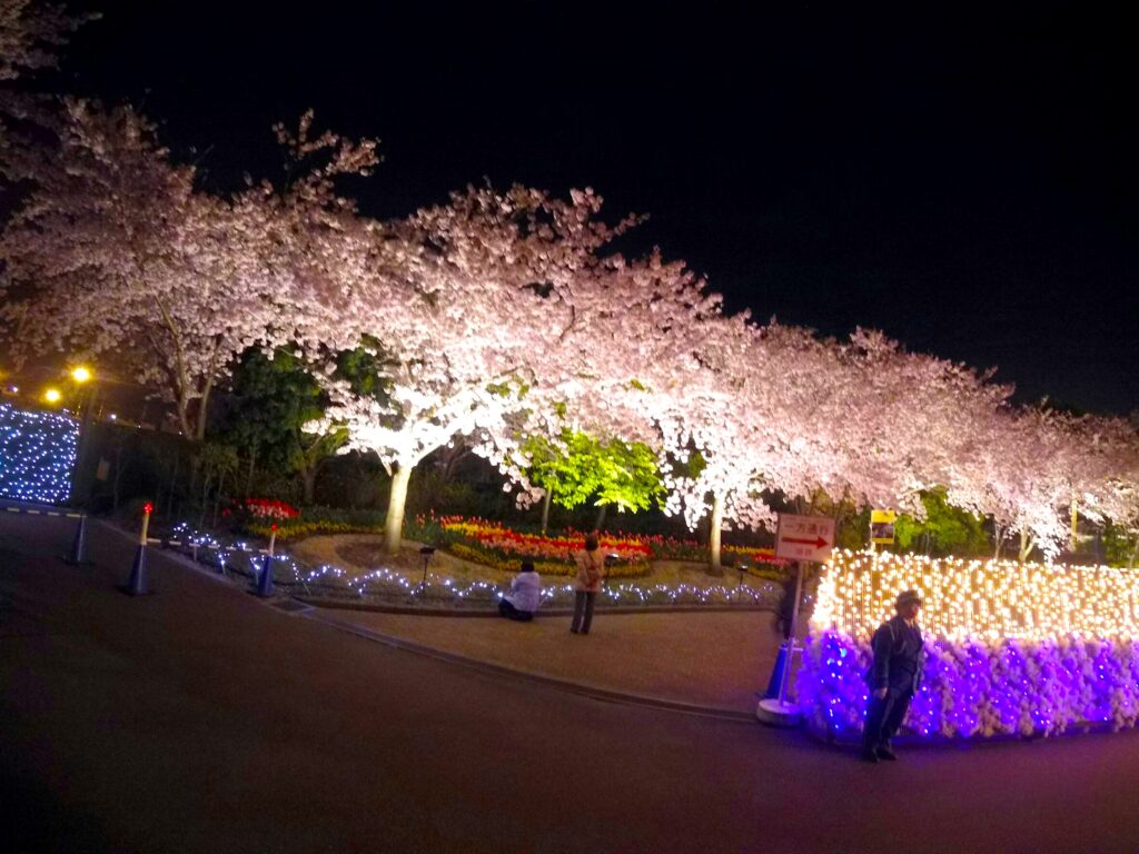 カスタム旅行イメージ