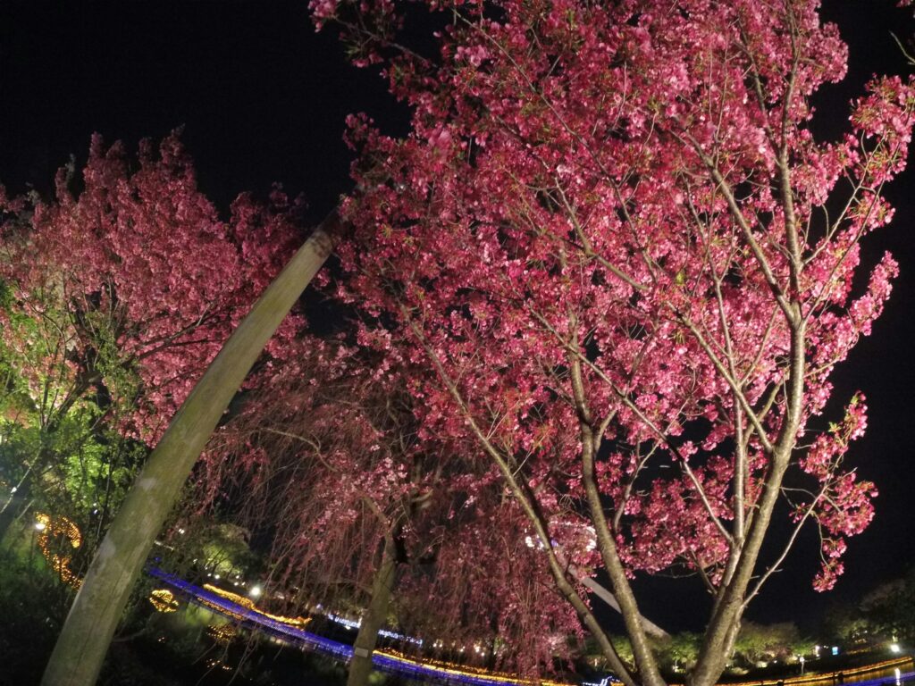 カスタム旅行イメージ