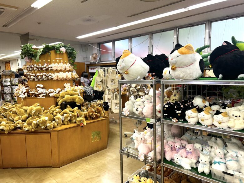 カスタム旅行イメージ