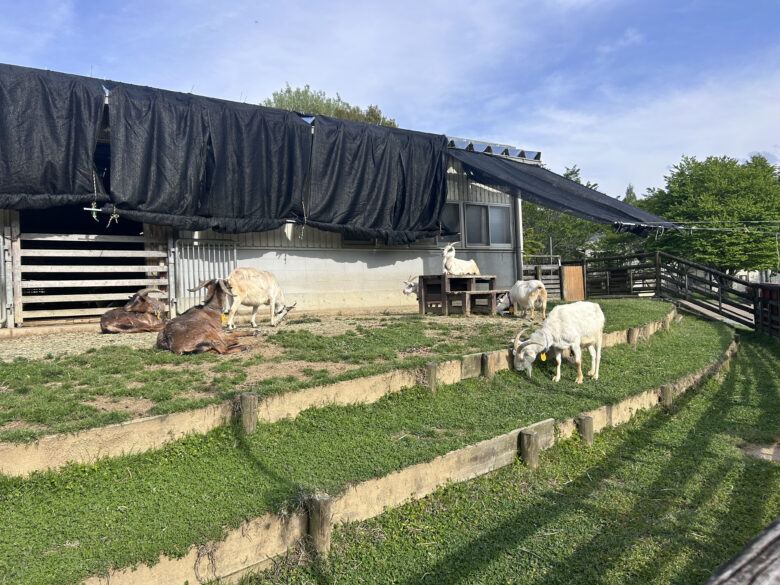 カスタム旅行イメージ