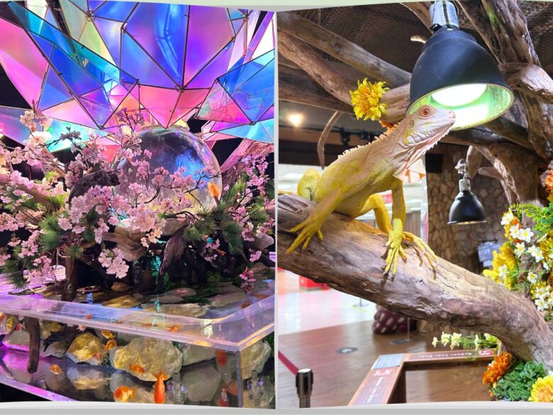 カスタム旅行イメージ